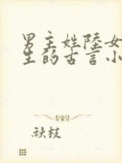 男主姓陆女主重生的古言小说封面