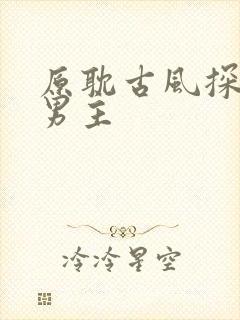 原耽古风探案双男主