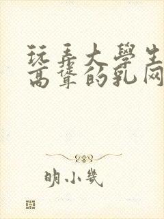 玩弄大学生白嫩高耸的乳网站