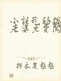 小说我的总裁大老婆免费阅读