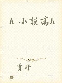 h 小说高h封面
