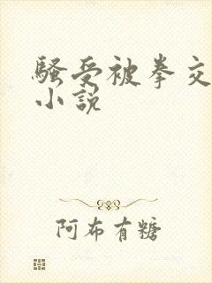 骚受被拳交开发小说