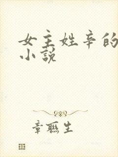 女主姓辛的现代小说