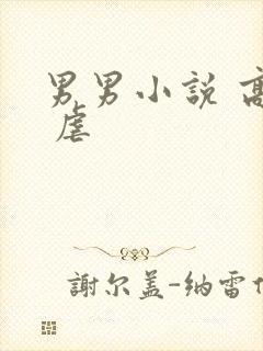 男男小说 高h 虐