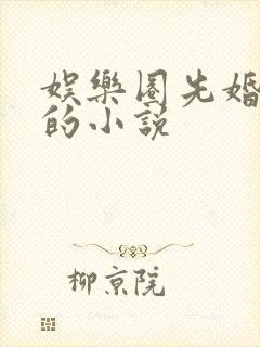 娱乐圈先婚后爱的小说