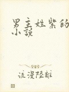 男主姓紫的玄幻小说