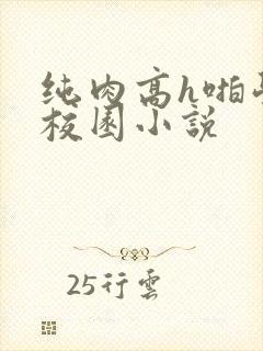 纯肉高h啪学生校园小说