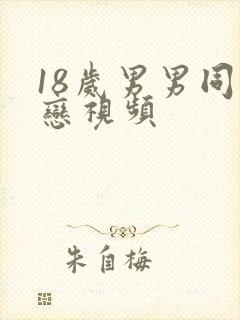 18岁男男同性恋视频封面