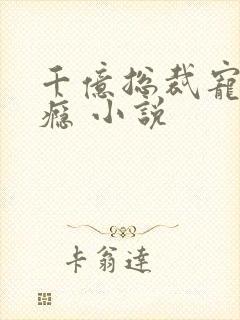 千亿总裁宠妻成瘾 小说封面