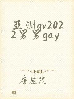 亚洲gv2022男男gay