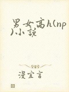 男女高h(np)小说