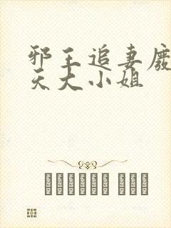 邪王追妻废材逆天大小姐