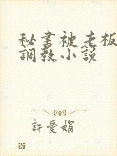 秘书被老板sm调教小说