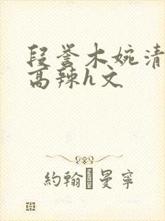 段誉木婉清h文高辣h文