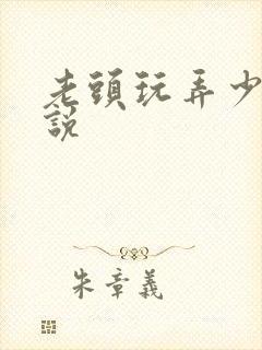 老头玩弄少妇小说