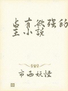 占有欲强的双男主小说