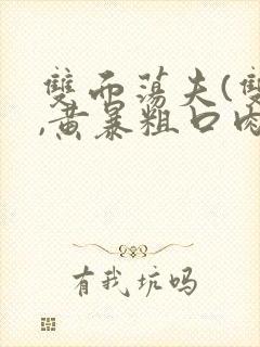 双面荡夫(双性,黄暴粗口肉合集封面