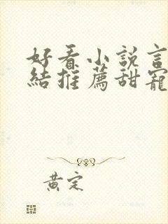 好看小说言情完结推荐甜宠文封面