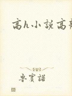 高h小说高辣文