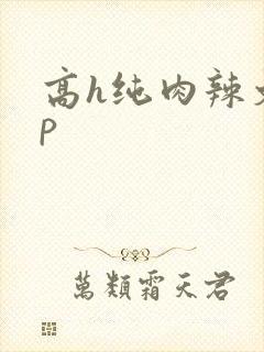高h纯肉辣文np