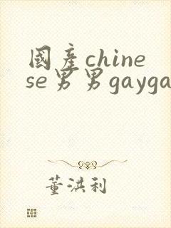 国产chinese男男gaygay网站vk