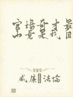 官场奇才最强靠山竟是我自己李霖李澜