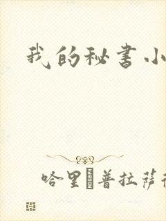 我的秘书小姐