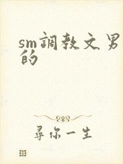 sm调教文男男的
