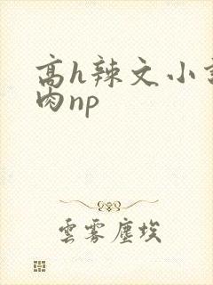 高h辣文小说纯肉np