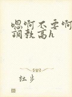 嗯啊不要啊啊啊调教高h封面