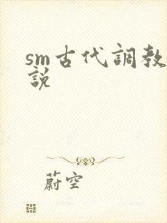 sm古代调教小说