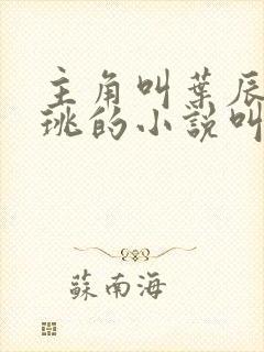 主角叫叶辰王佳珧的小说叫什么