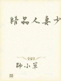 精品人妻少妇一