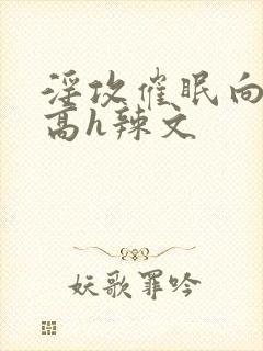 淫攻催眠向np高h辣文封面