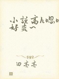 小说高h嗯嗯~好爽~