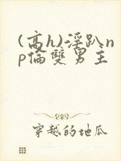 (高h)淫趴np伦双男主
