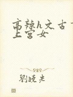 高辣h文古言皇上宫女