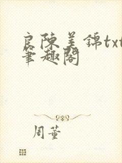 良陈美锦txt笔趣阁