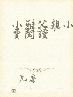 小雅父亲小说免费阅读