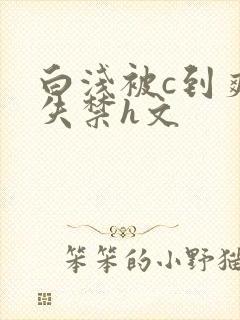 白浅被c到爽到失禁h文封面