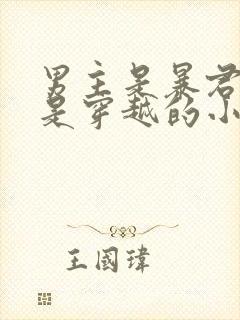 男主是暴君女主是穿越的小说