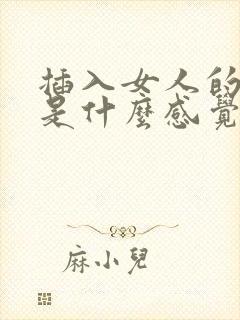 插入女人的阴道是什么感觉?