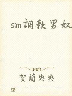 sm调教男奴文封面