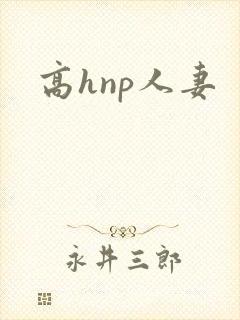 高hnp人妻