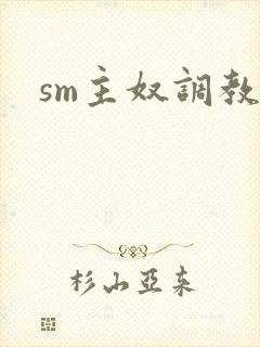 sm主奴调教h封面