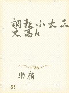 调教小太正肉车文高h