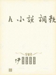 h 小说 调教