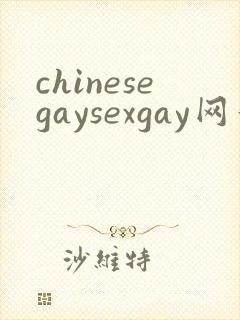 chinesegaysexgay网站