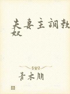 夫妻主调教夫妻奴