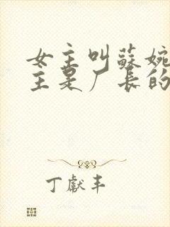 女主叫苏婉,男主是厂长的小说